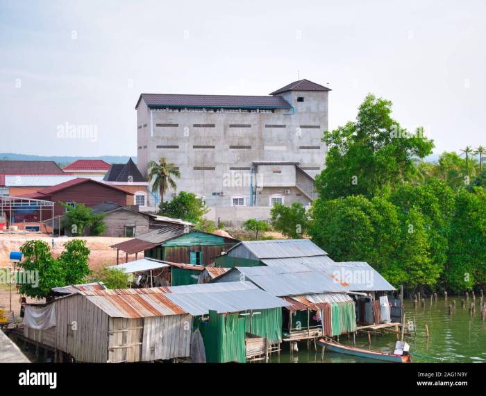 Desain rumah sarang burung walet