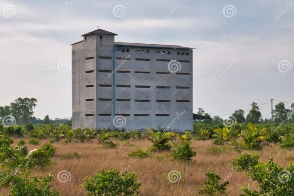 Nest walet swiftlet myeik bentuk